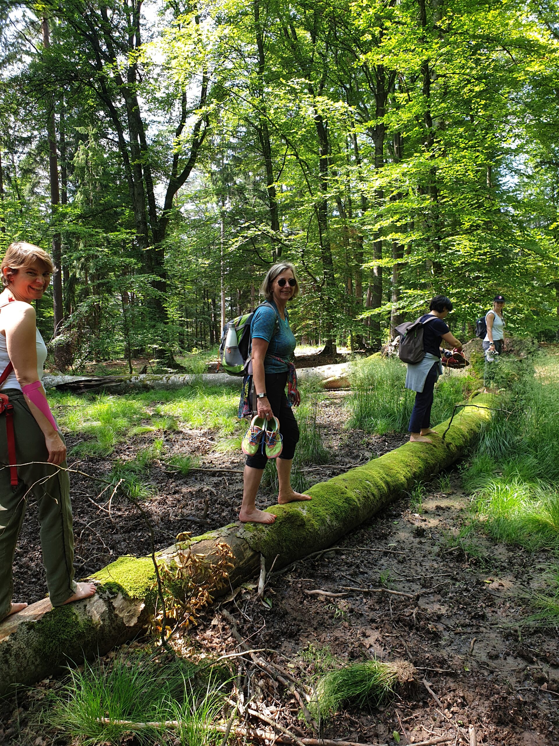 Gruppe balanciert auf einem Baumstamm im Wald